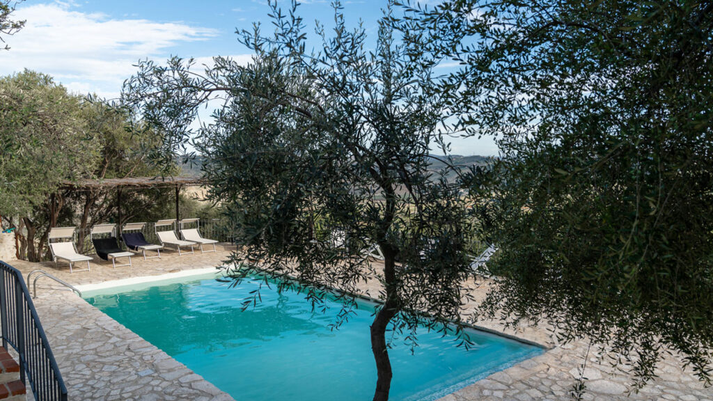 Bed And Breakfast Roba degli Ulivi foto 4
