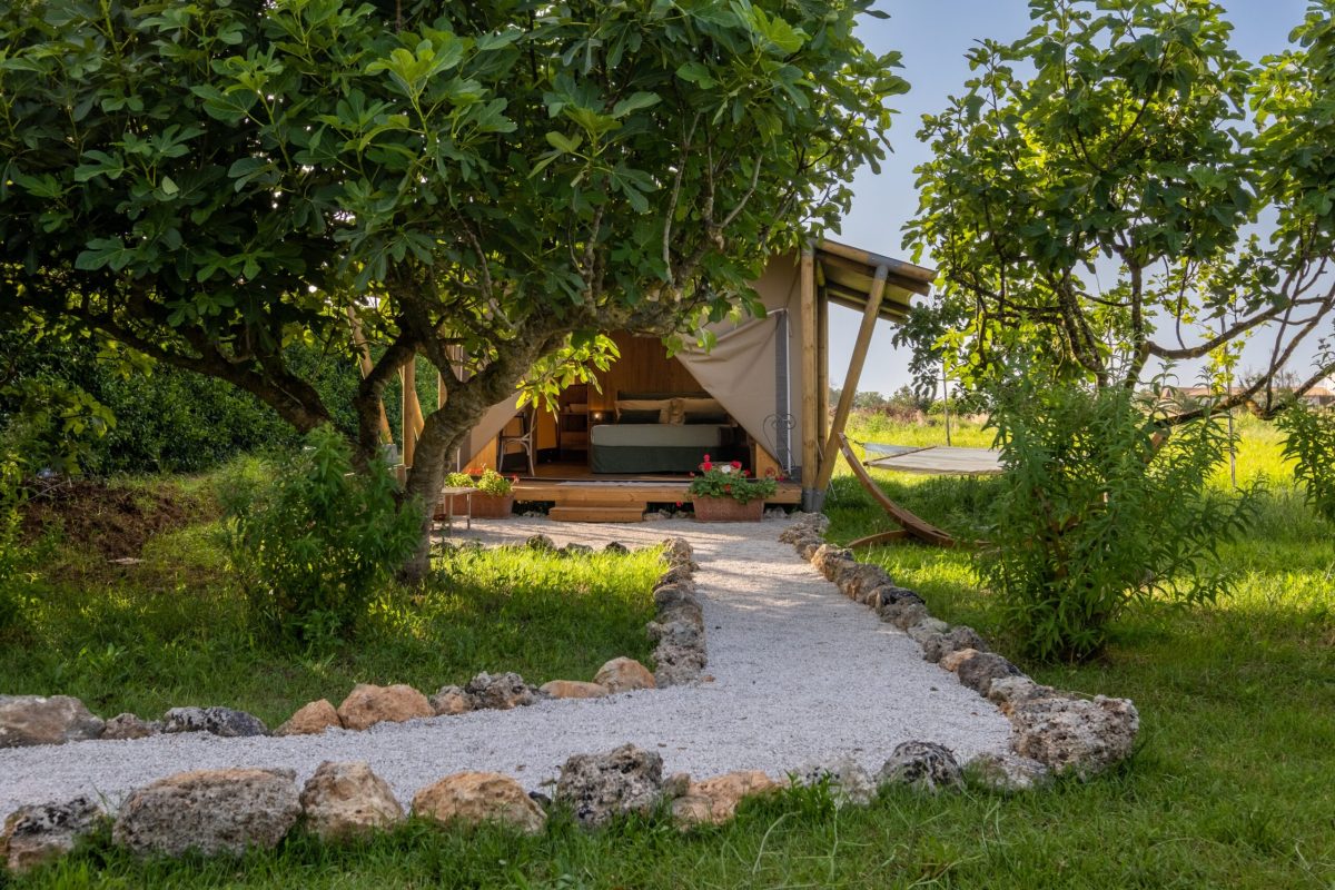 Tenuta DonnAnna Agriturismo&Glamping foto 4