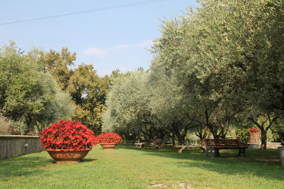 Agriturismo La Selva foto 5