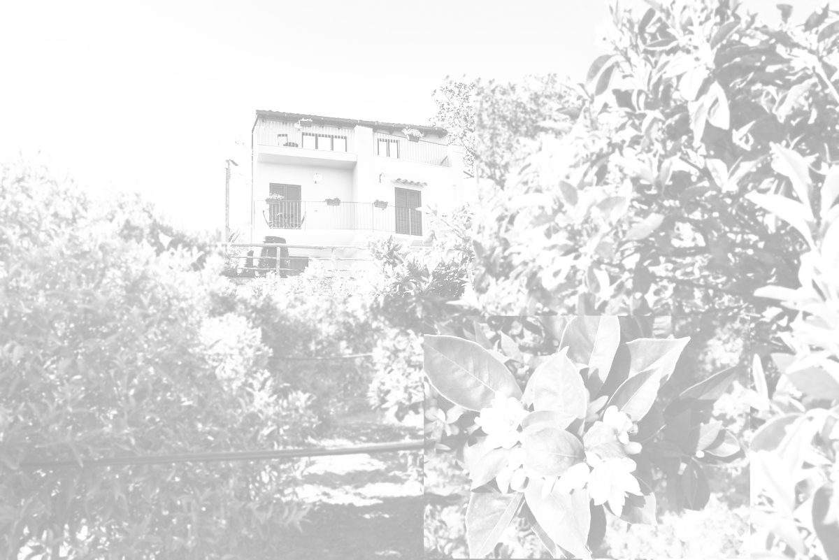 B&B Parco dei Templi foto 2