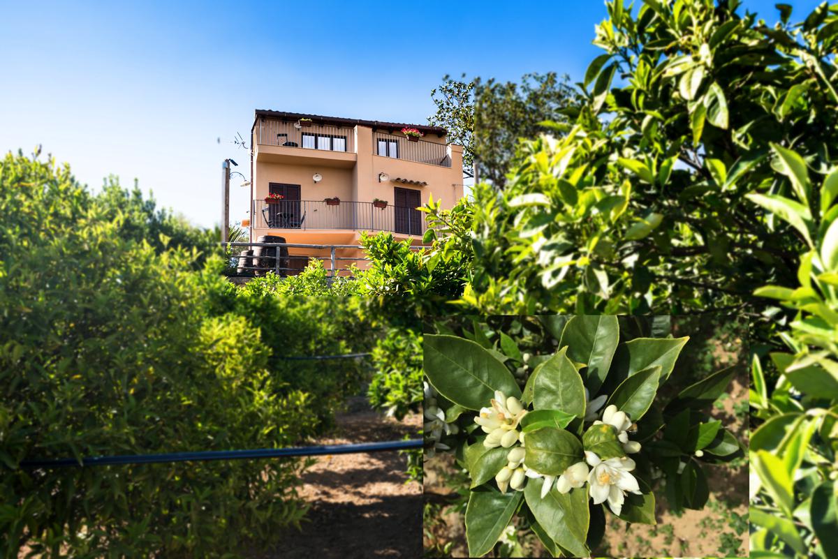 B&B Parco dei Templi foto 6