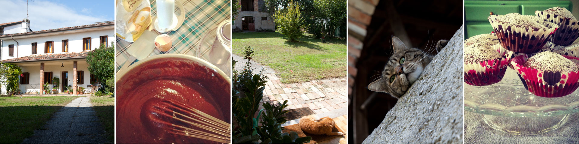 B&B il Tubiá foto 3