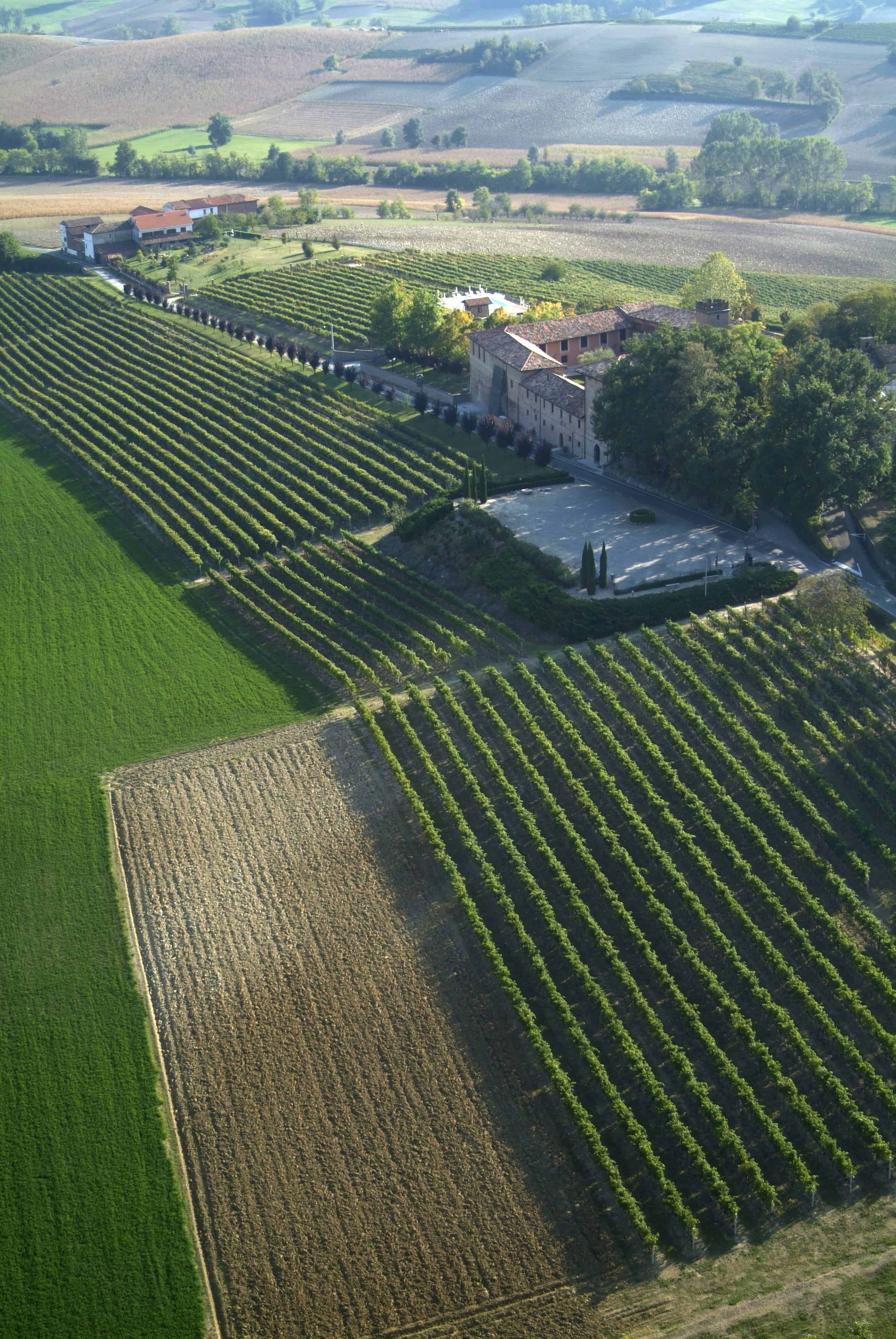 Castello di Razzano - Relais, Ristorante, Museo e Cantina foto 4