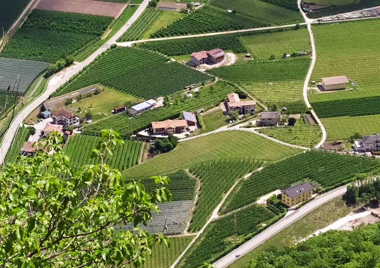 Agriturismo Prà-sec' Trento foto 2