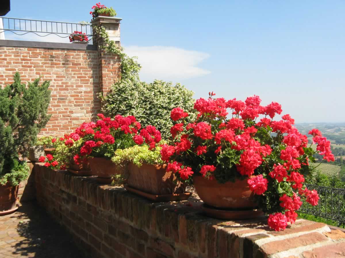 B&B I Mandorli foto 2