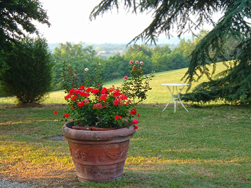 Cascina Barosca foto 4