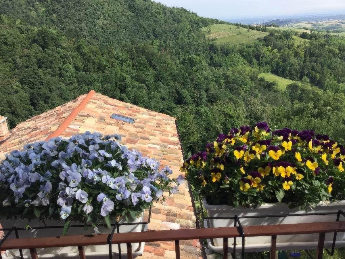 B&B Monferrato La Casa sui Tetti foto 2