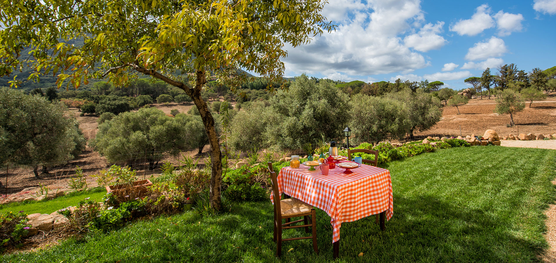 Agriturismo Is Conchisceddas Medio Campidano - Sardegna foto 2