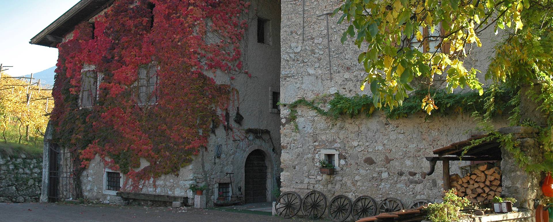 Maso Bergamini foto 3