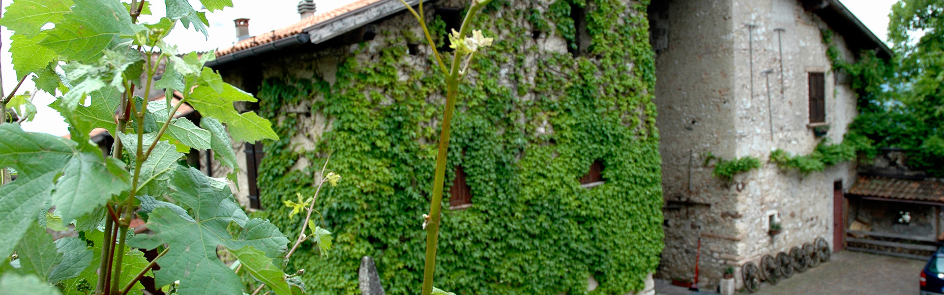 Maso Bergamini foto 4