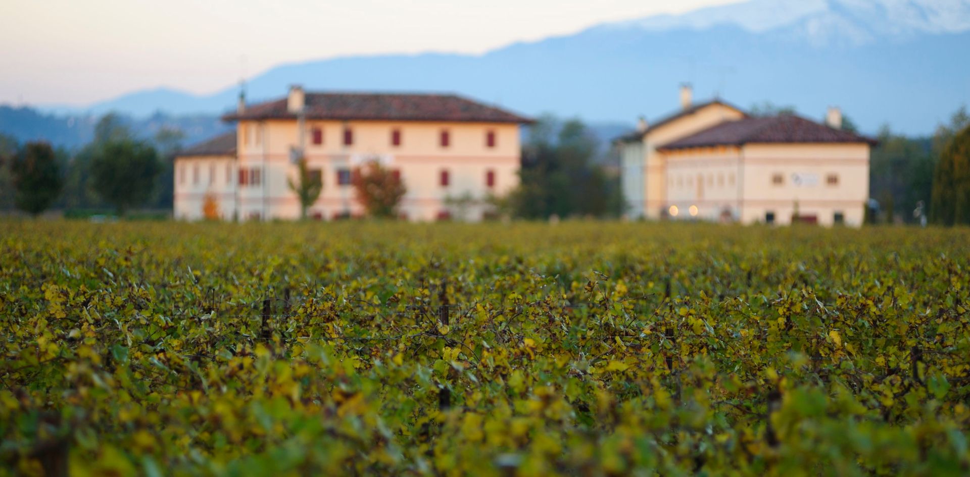 Negozio aziendale Borgoluce foto 1