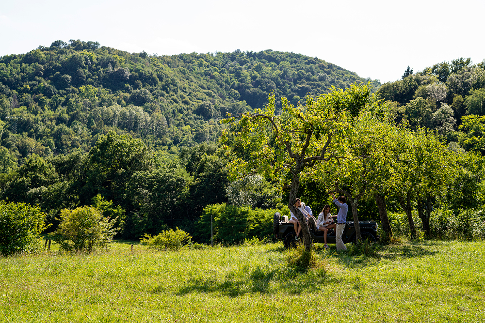Negozio aziendale Borgoluce foto 3