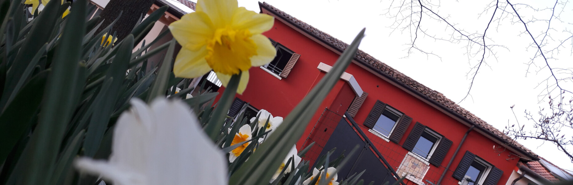 B&B Alla Bon'ora foto 2