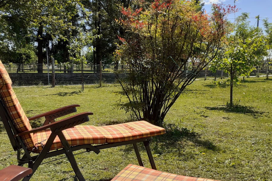 B&B Alla Bon'ora foto 4