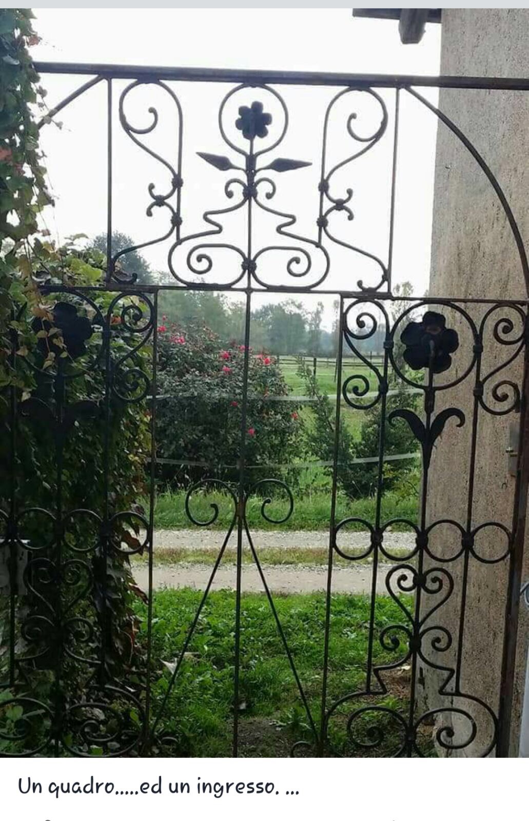 Agriturismo Cascina Moretta foto 3