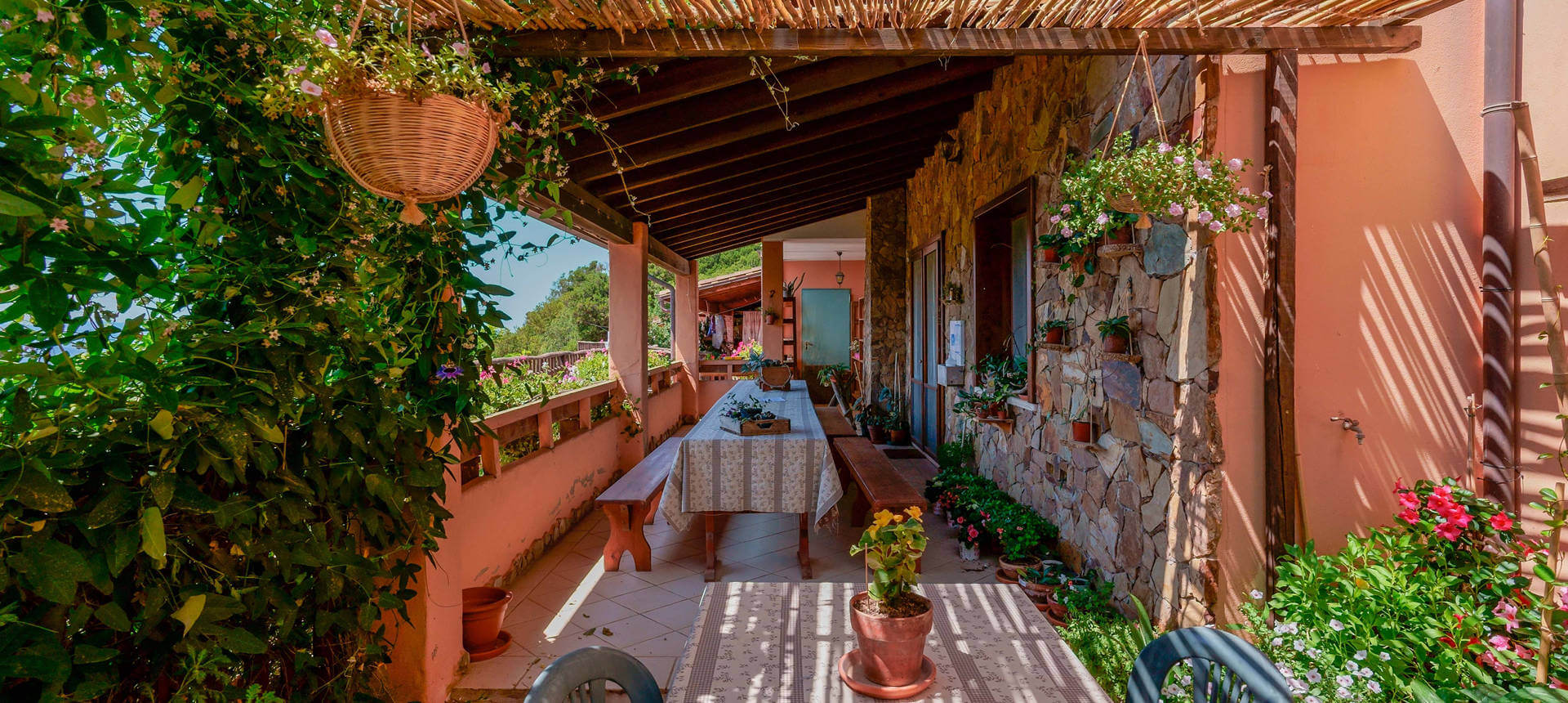 L'oasi del cervo foto 1