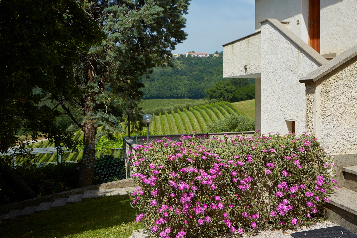 Camping Agriturist Sant'Anna foto 3