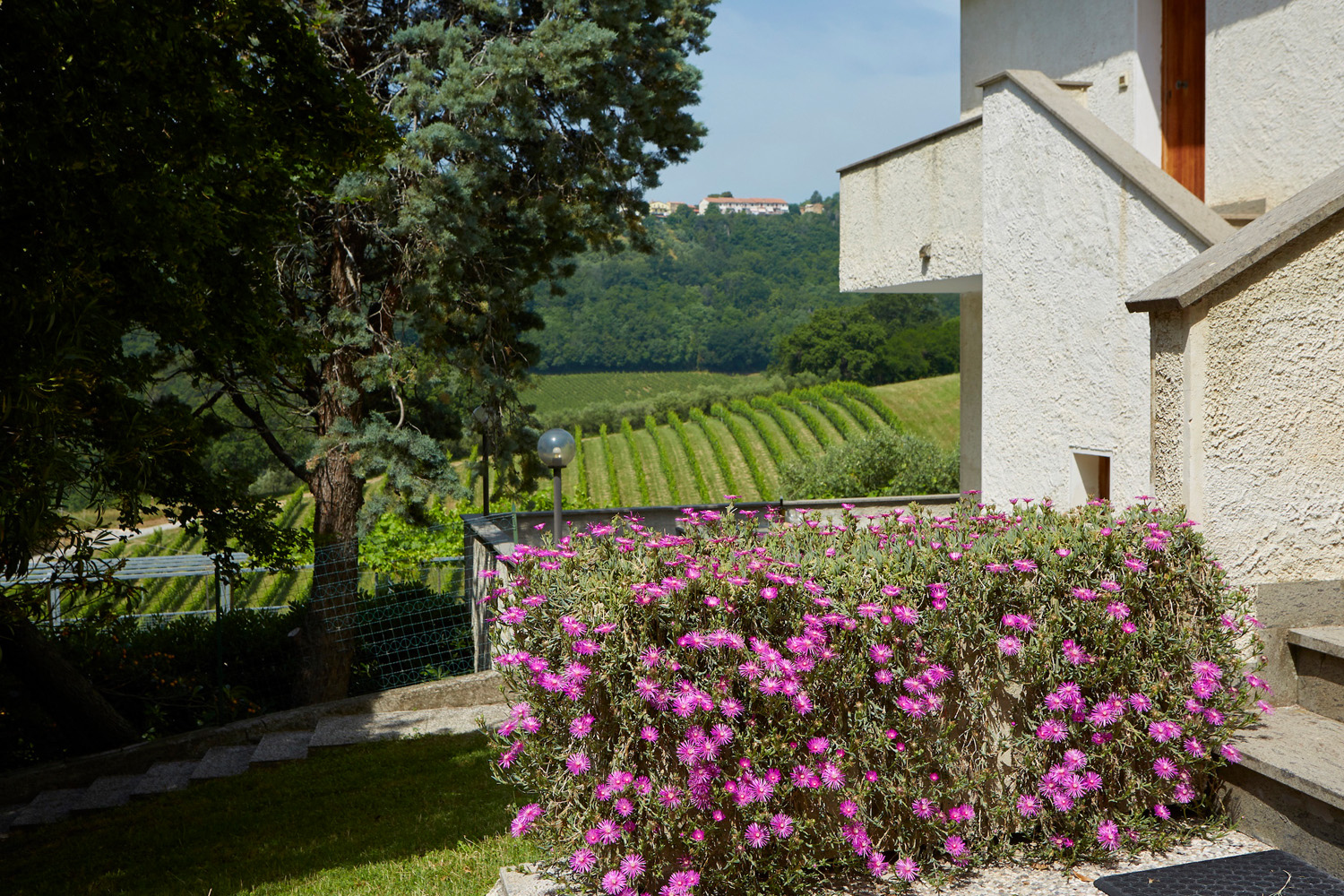 Camping Agriturist Sant'Anna foto 4