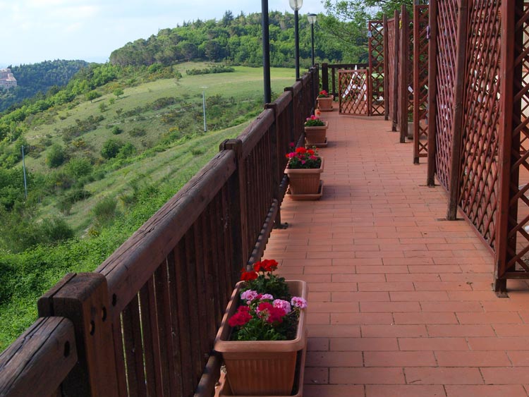 Agriturismo La Becerca (Vegan B&B) foto 3