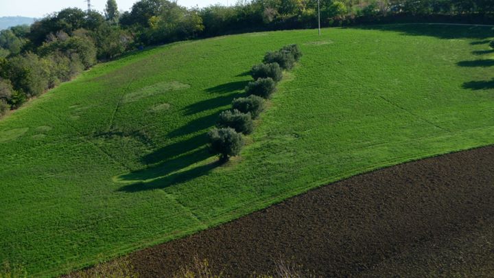 Agriturismo Le Piagge foto 3