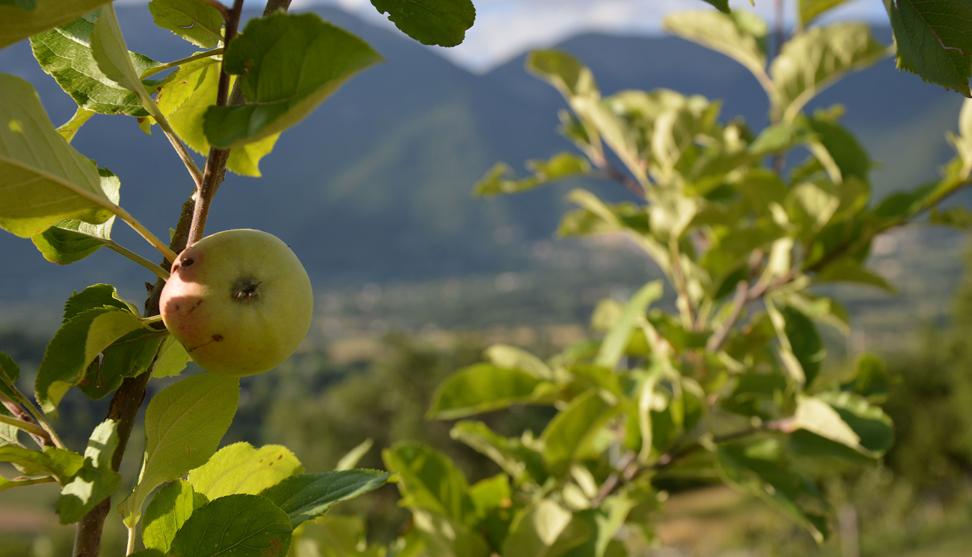Poggio alle Serre - Agriturismo foto 1