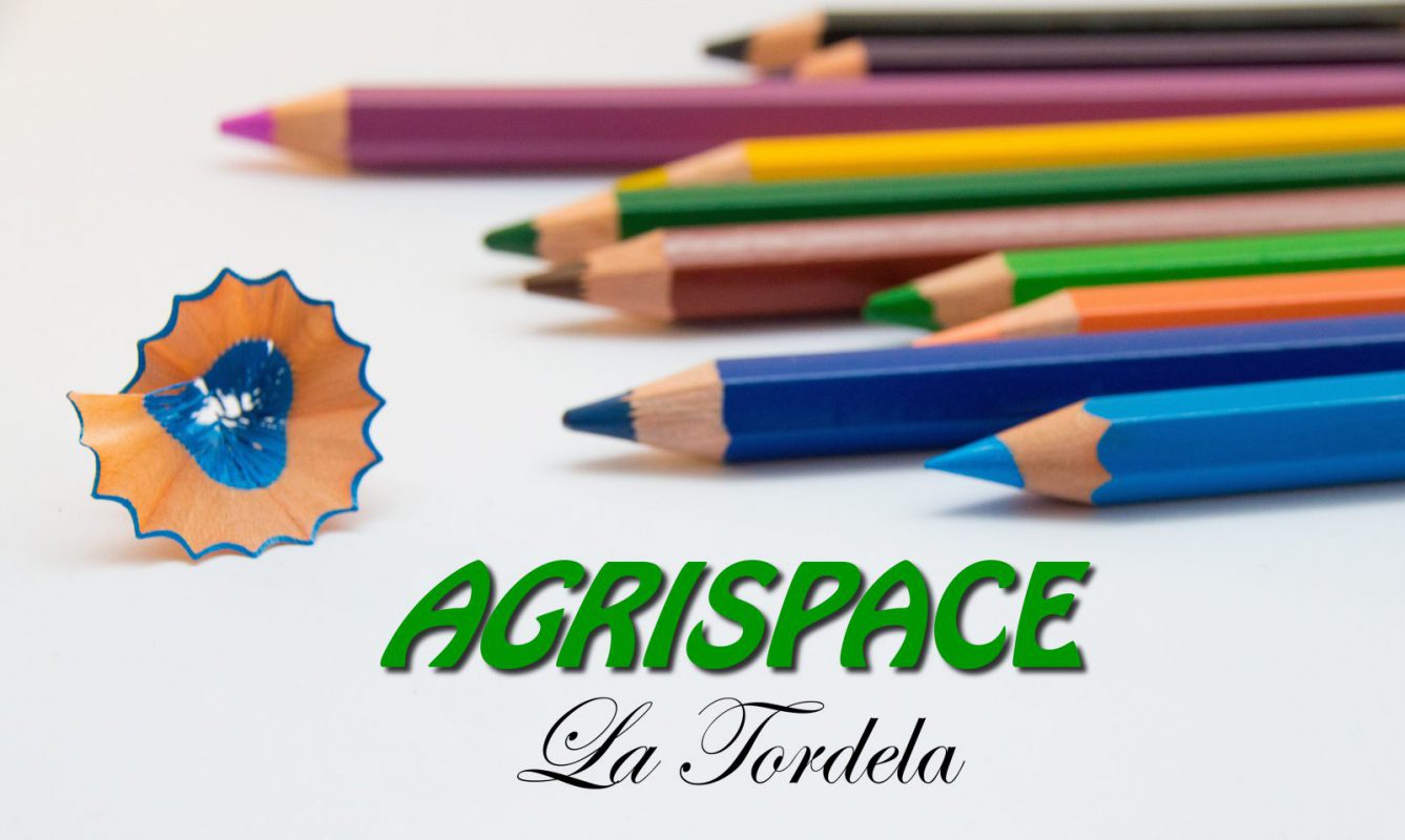 AgriSpace LaTordela - Agriturismo La Tordela foto 1