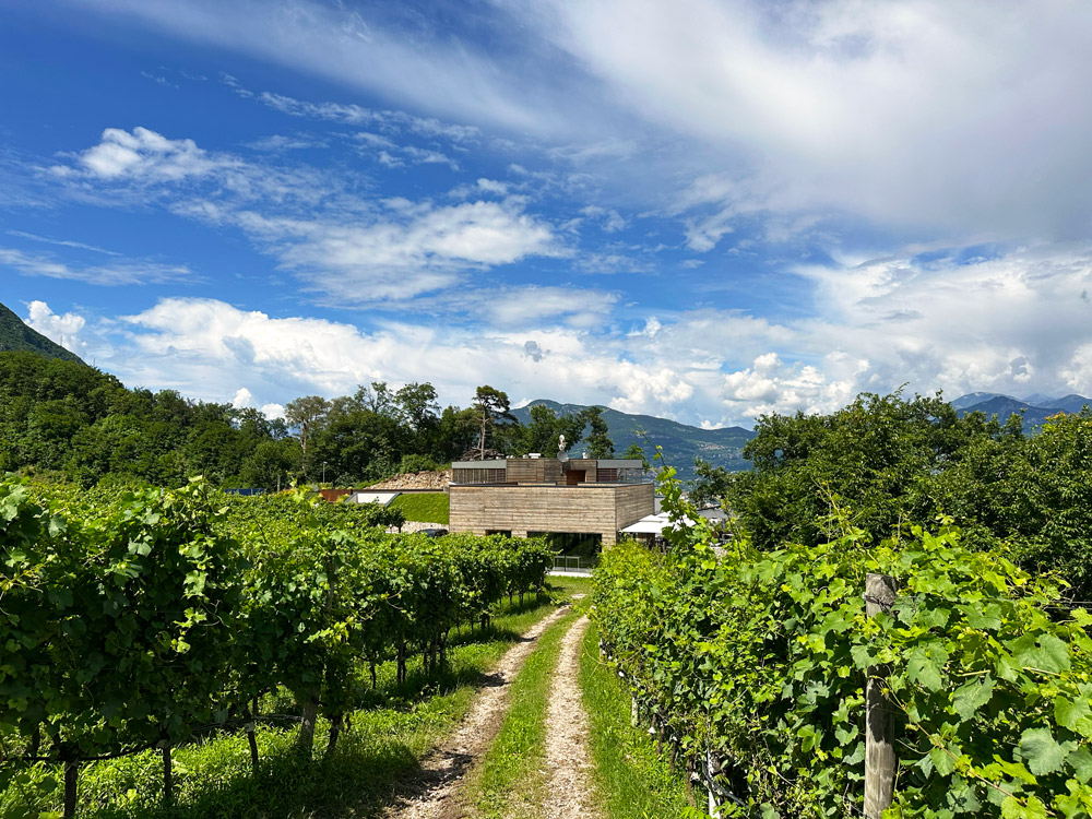 Agriturismo Margone Trento foto 3