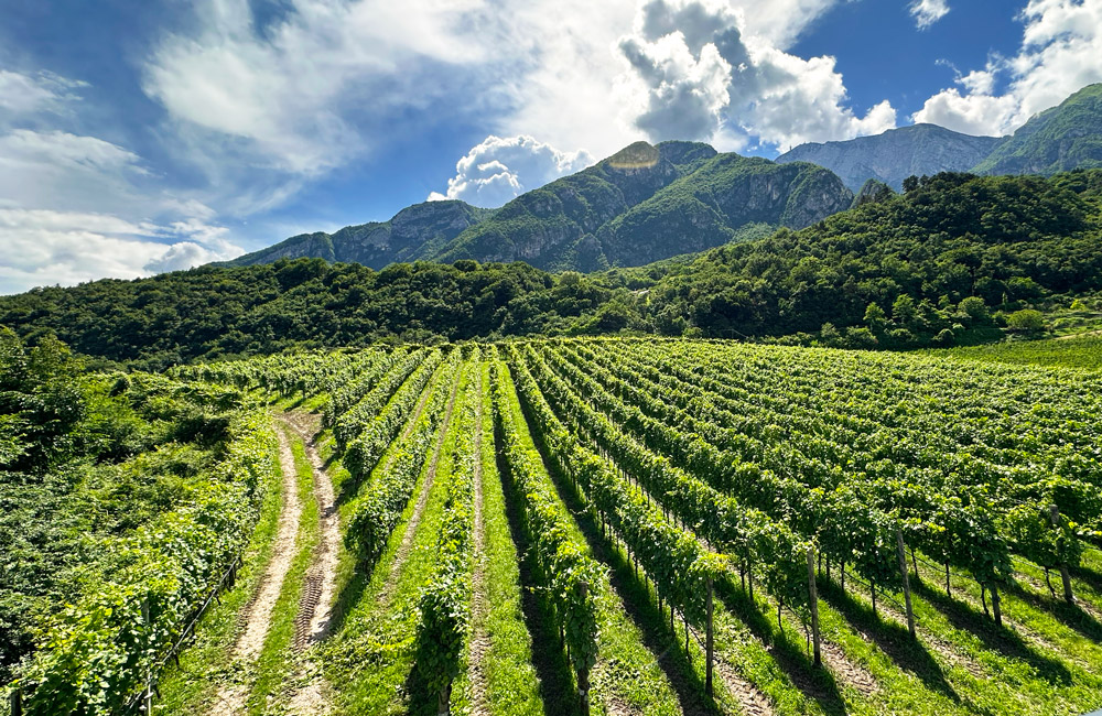 Agriturismo Margone Trento foto 4
