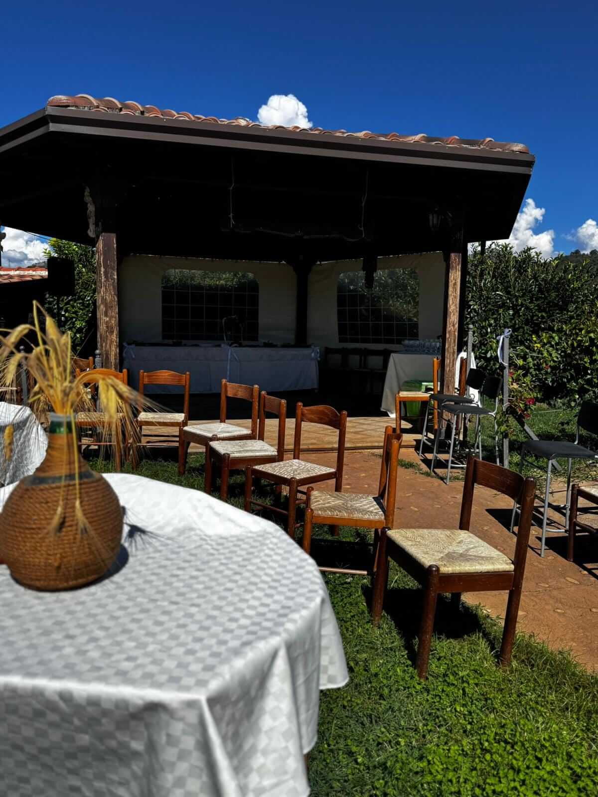 Agriturismo La collina degli ulivi foto 5