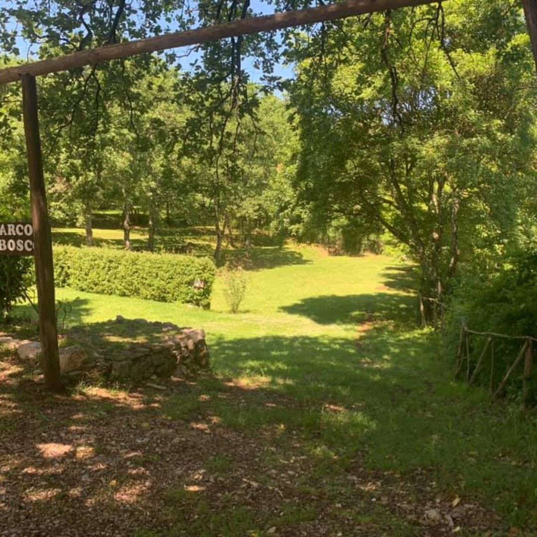 Agriturismo il bosco foto 4