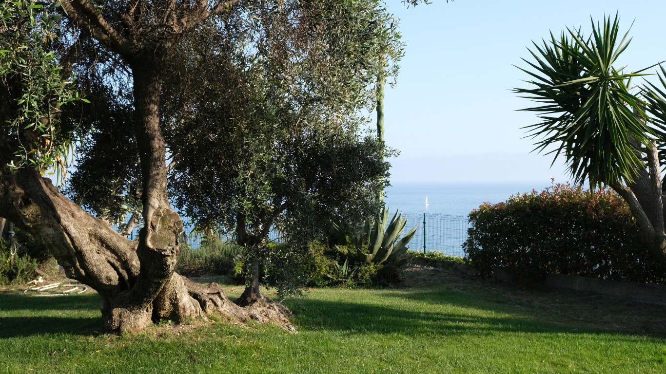 Agriturismo la Tuffatrice foto 1