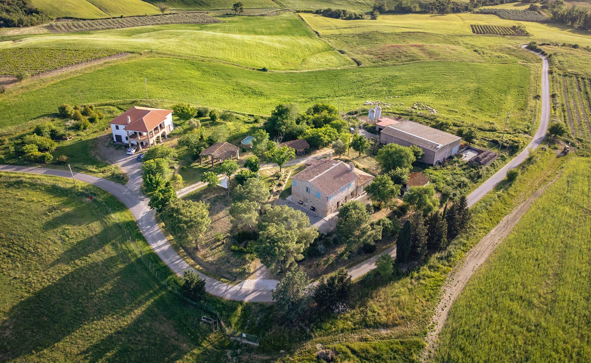 Podere Stabbiatelli, Azienda Agricola e Agriturismo foto 3