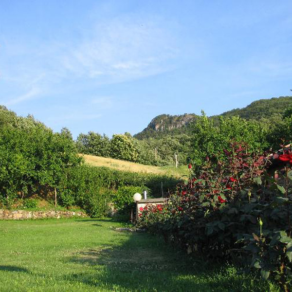Podere Le Ghiande foto 3