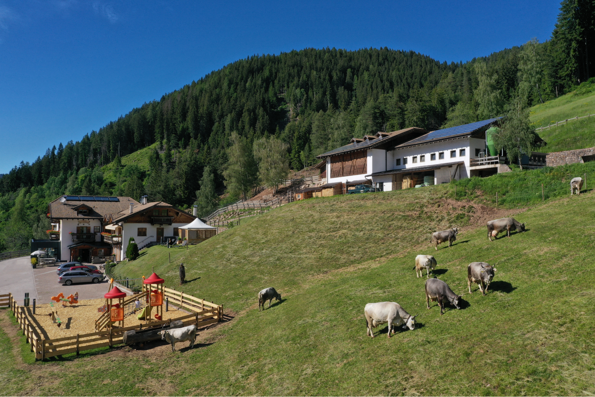 Agritur Maso Fior Di Bosco - VALFLORIANA - TRENTINO foto 1