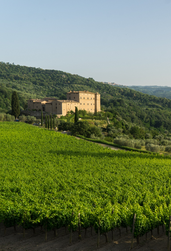 Castello Di Potentino foto 1