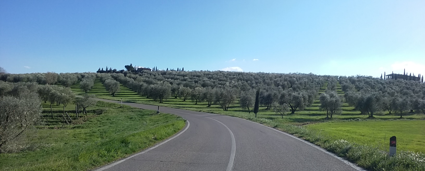 Agriturismo Podere Cherzo foto 2