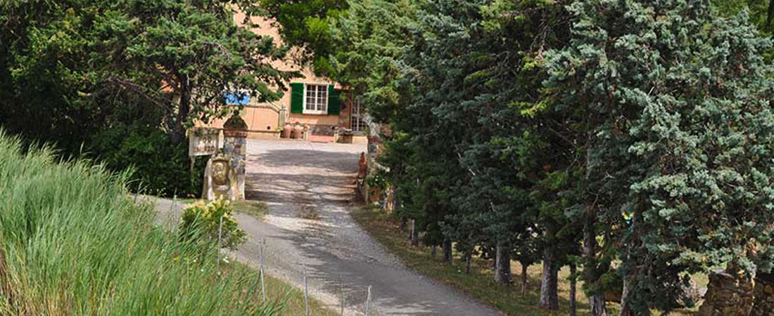 Agriturismo Podere Cherzo foto 4