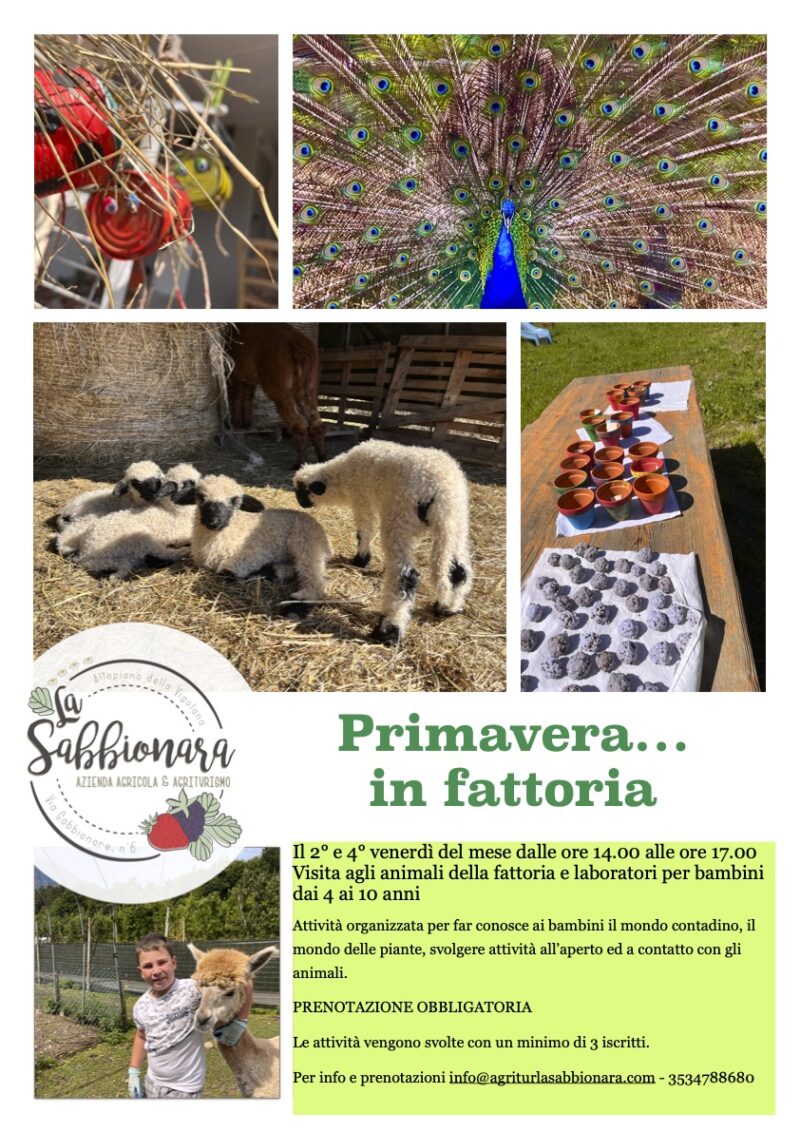 Agritur La Sabbionara foto 5