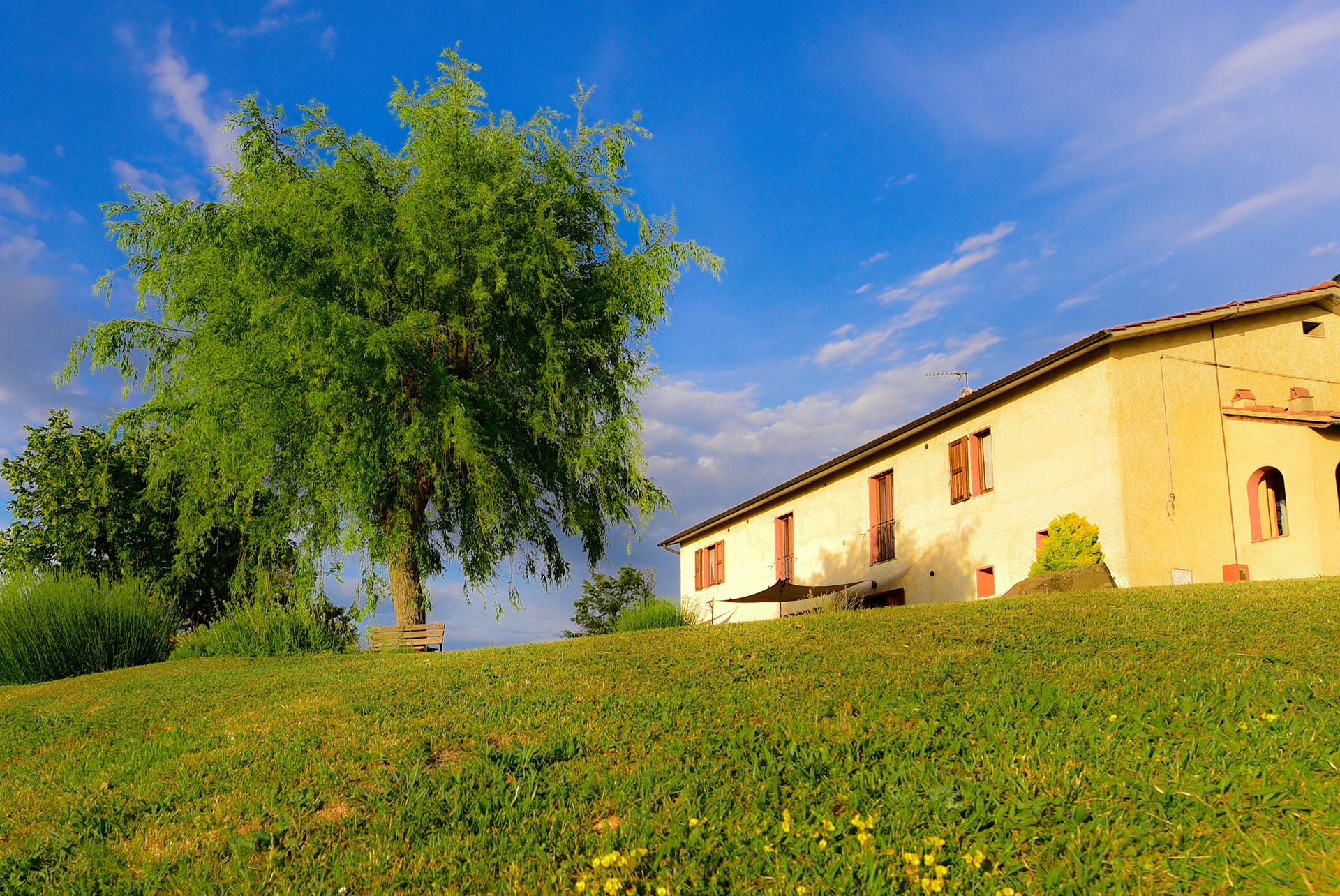 Agriturismo Le Casaline - Val d'Orcia foto 3