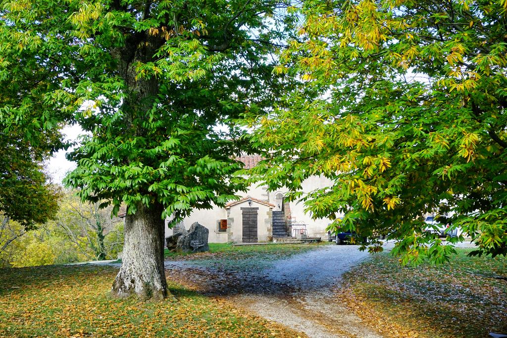 Agriturismo Bio I Rondinelli foto 6