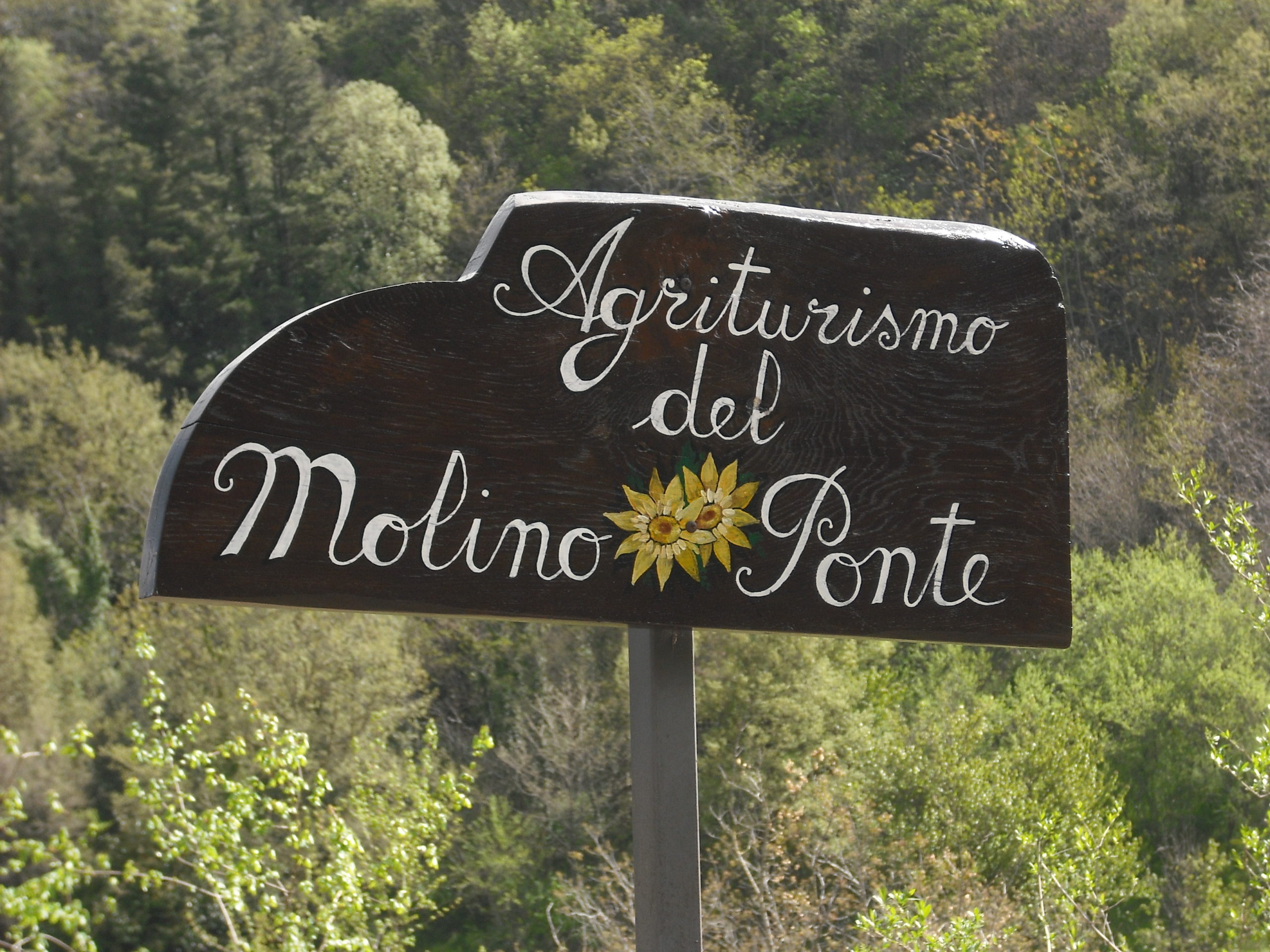 Agriturismo Molino del Ponte foto 3