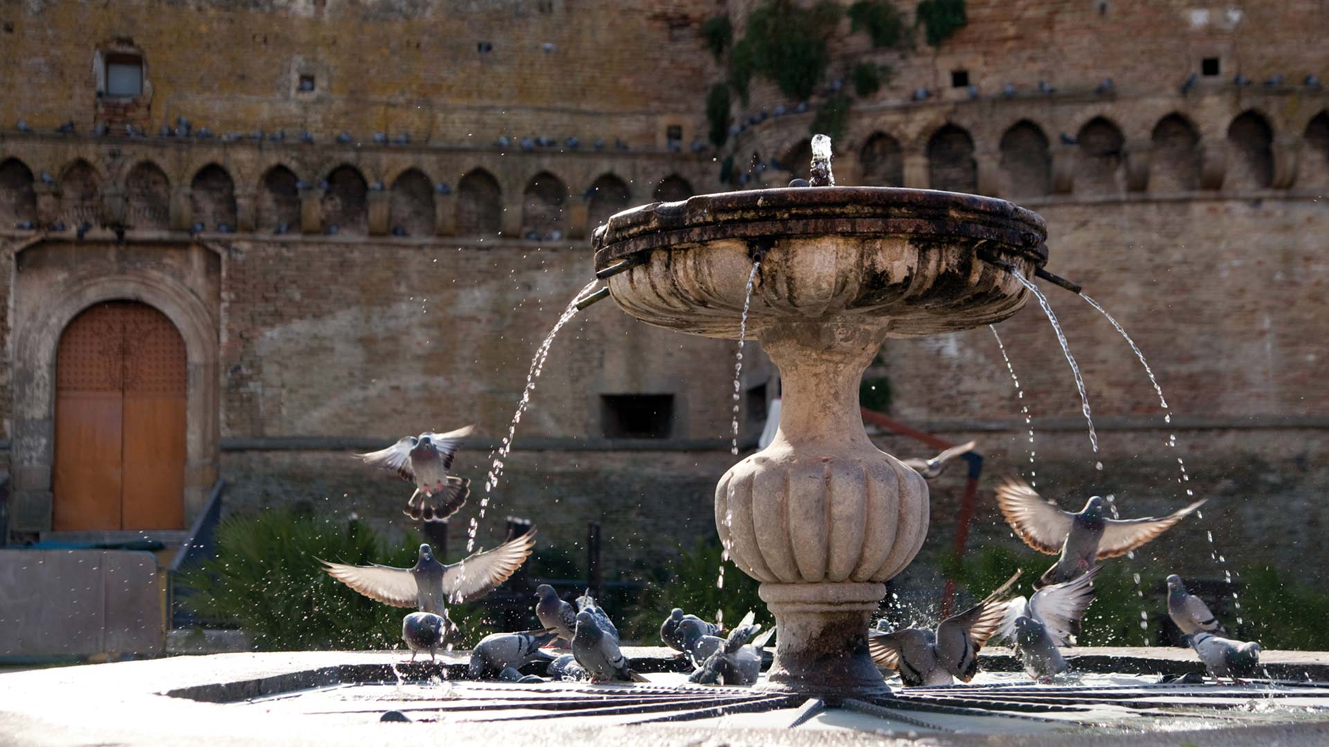 VILLA SAN GIACOMO foto 6