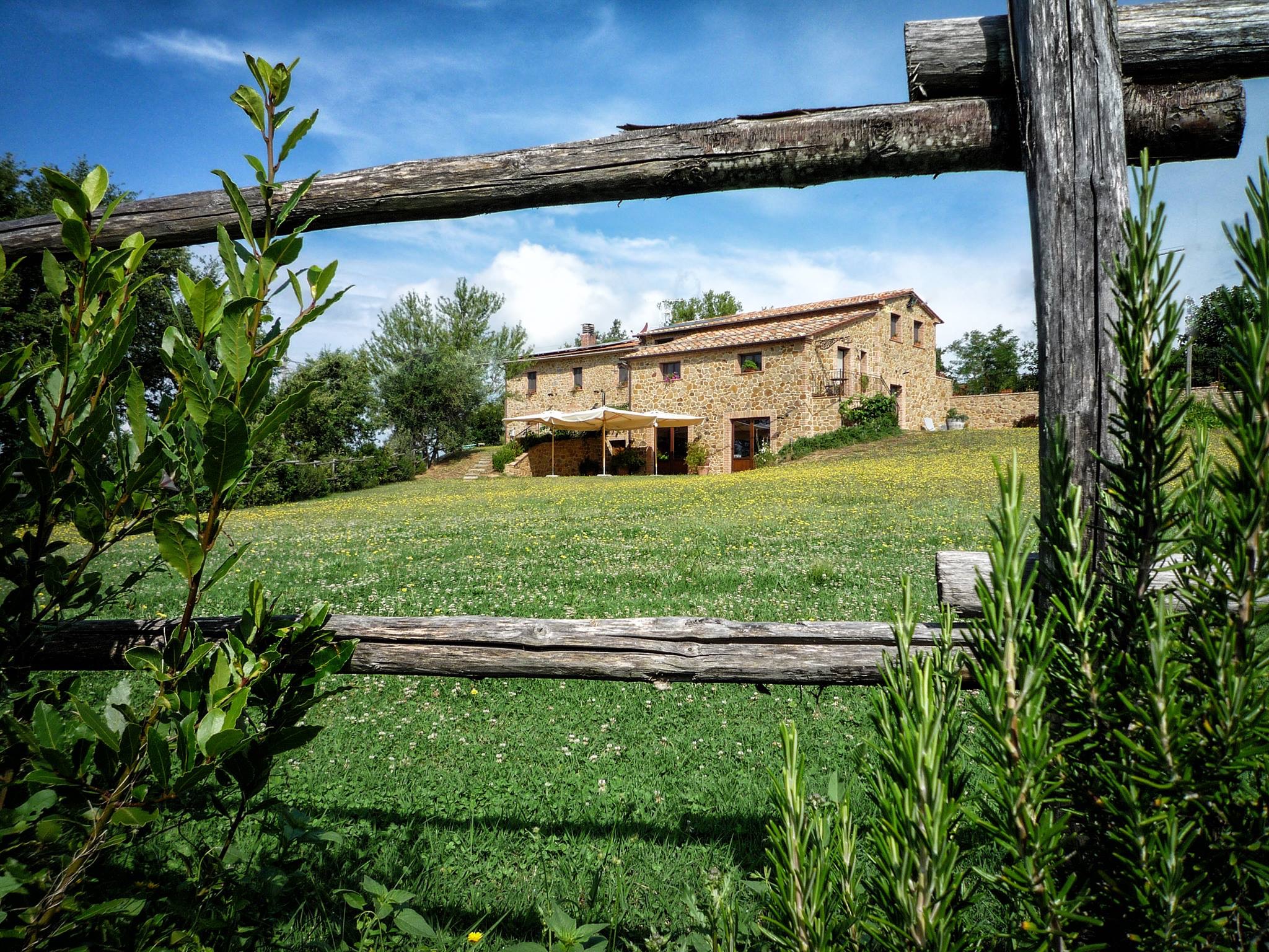Agriturismo Il Selvatico foto 1
