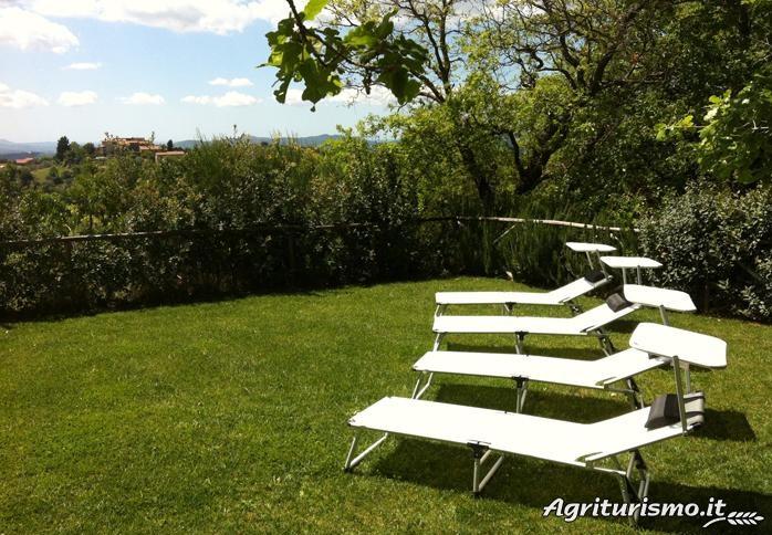 Agriturismo Il Selvatico foto 4