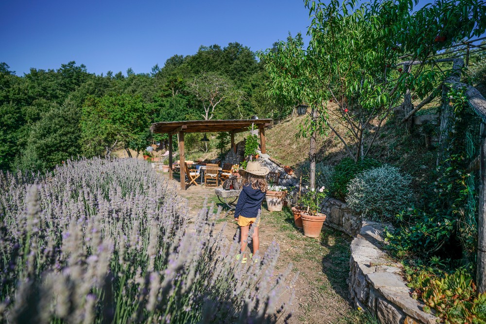 Agriturismo La Colombella foto 2