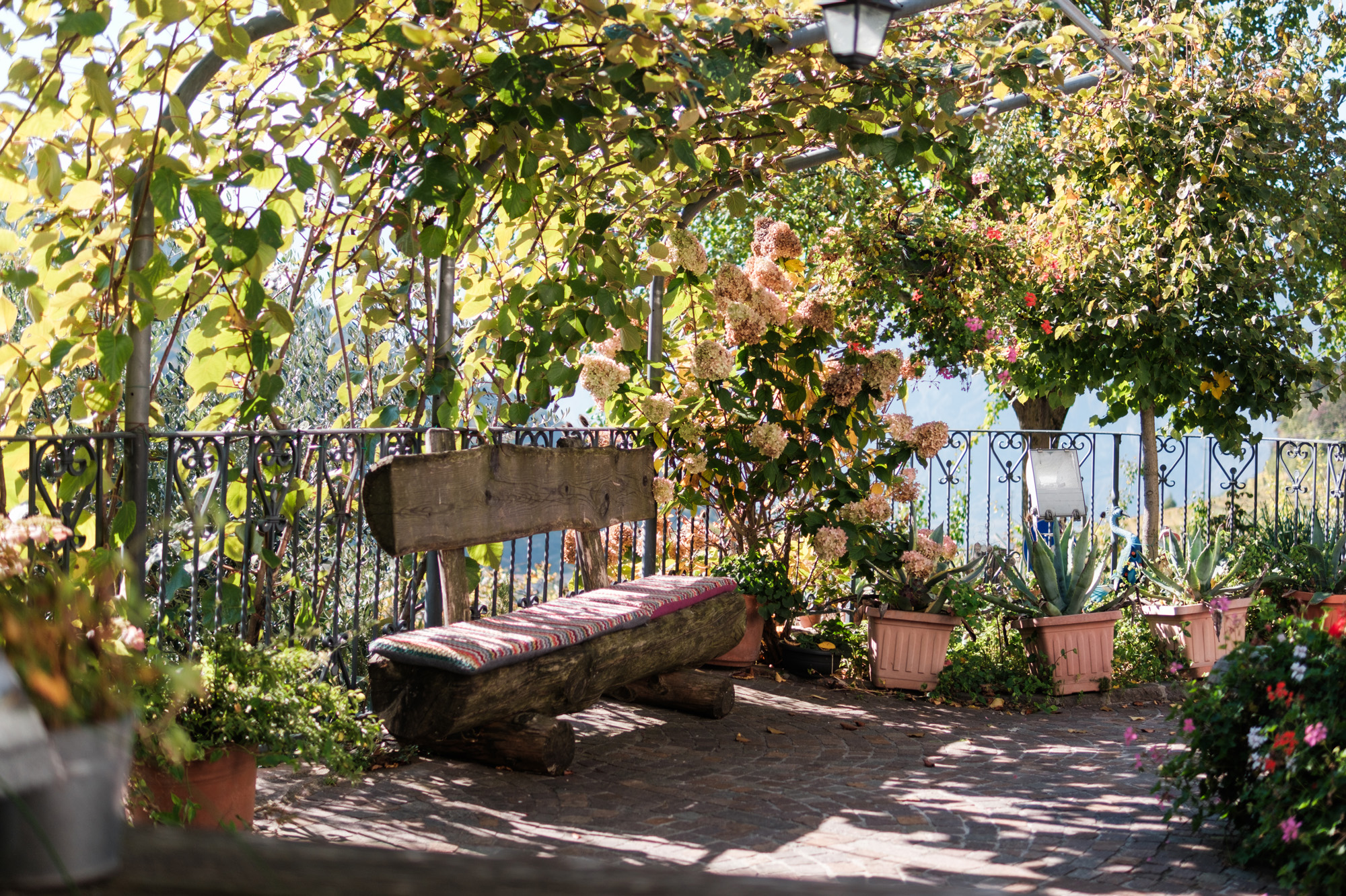 Agritur Maso Nello foto 2