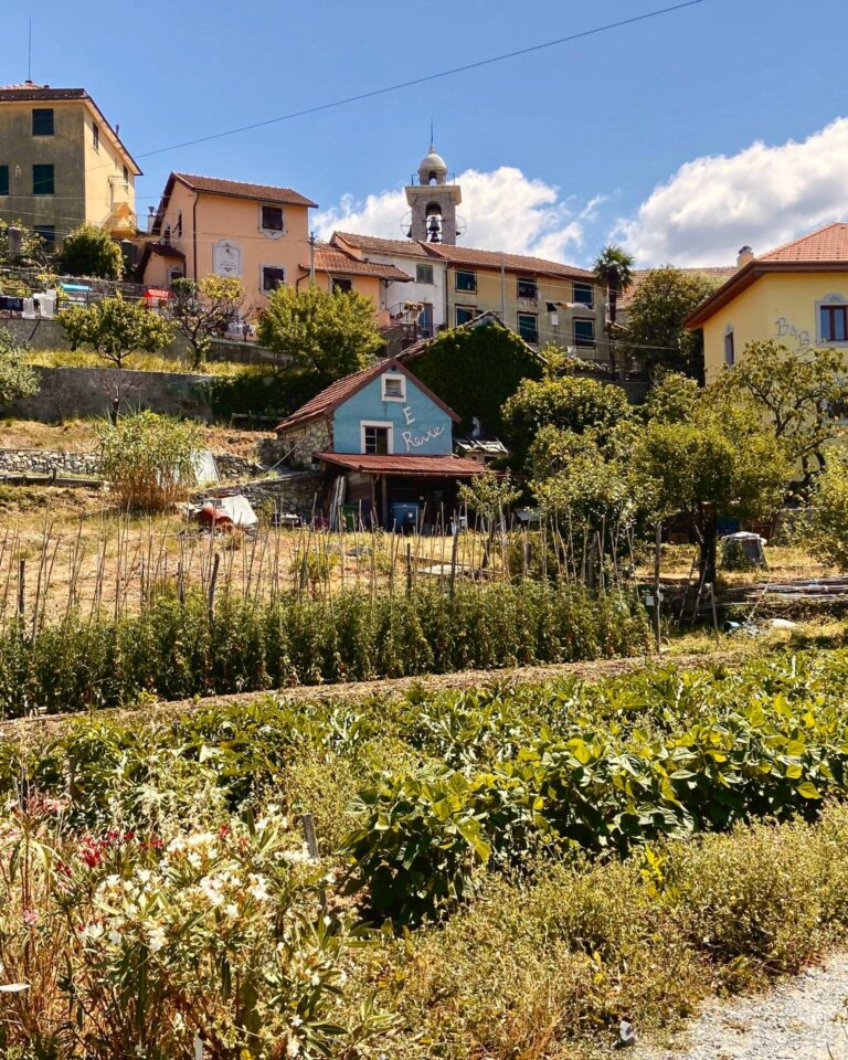 Agriturismo e Reixe foto 6