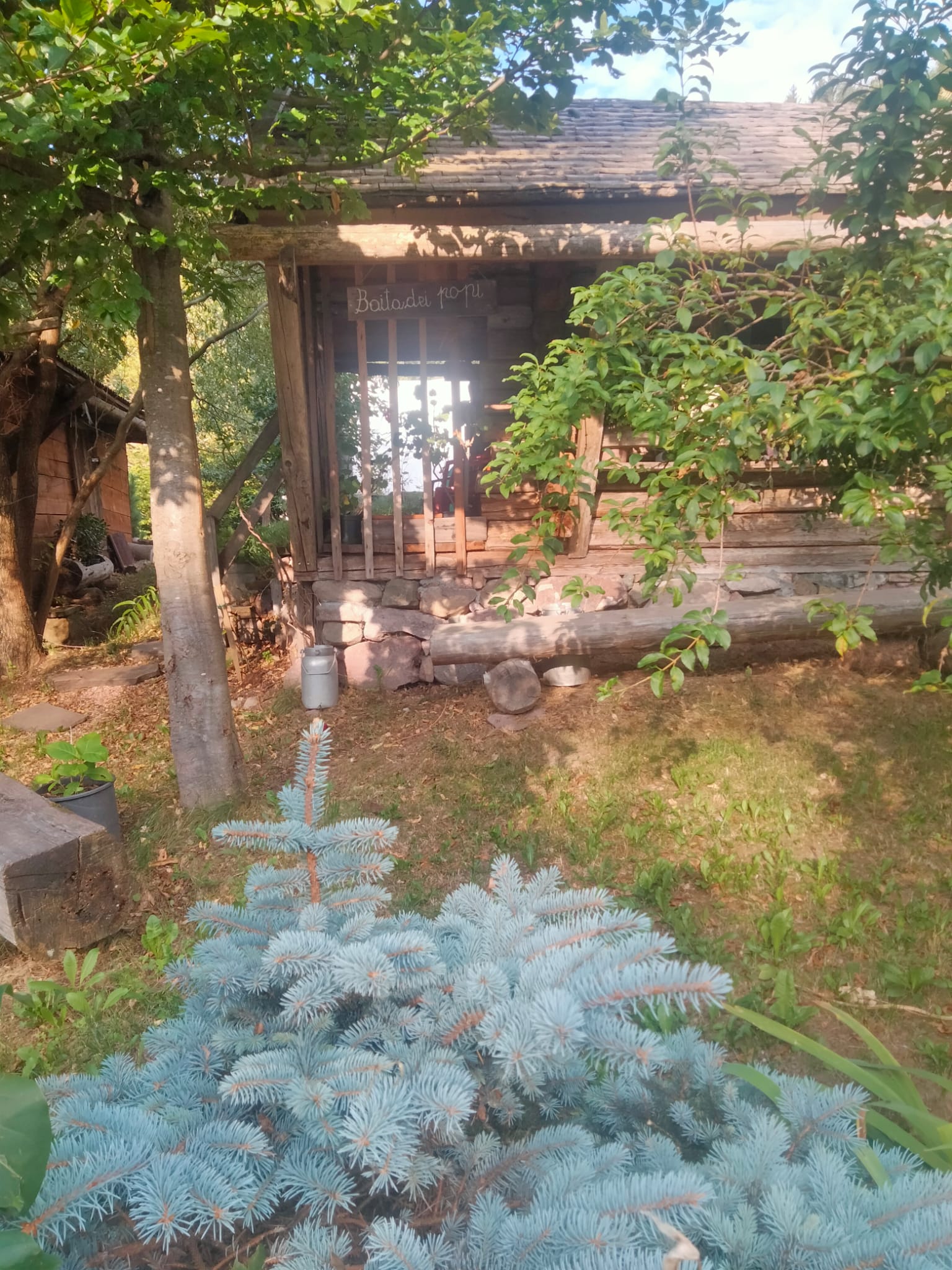 Agritur La Gemma foto 3