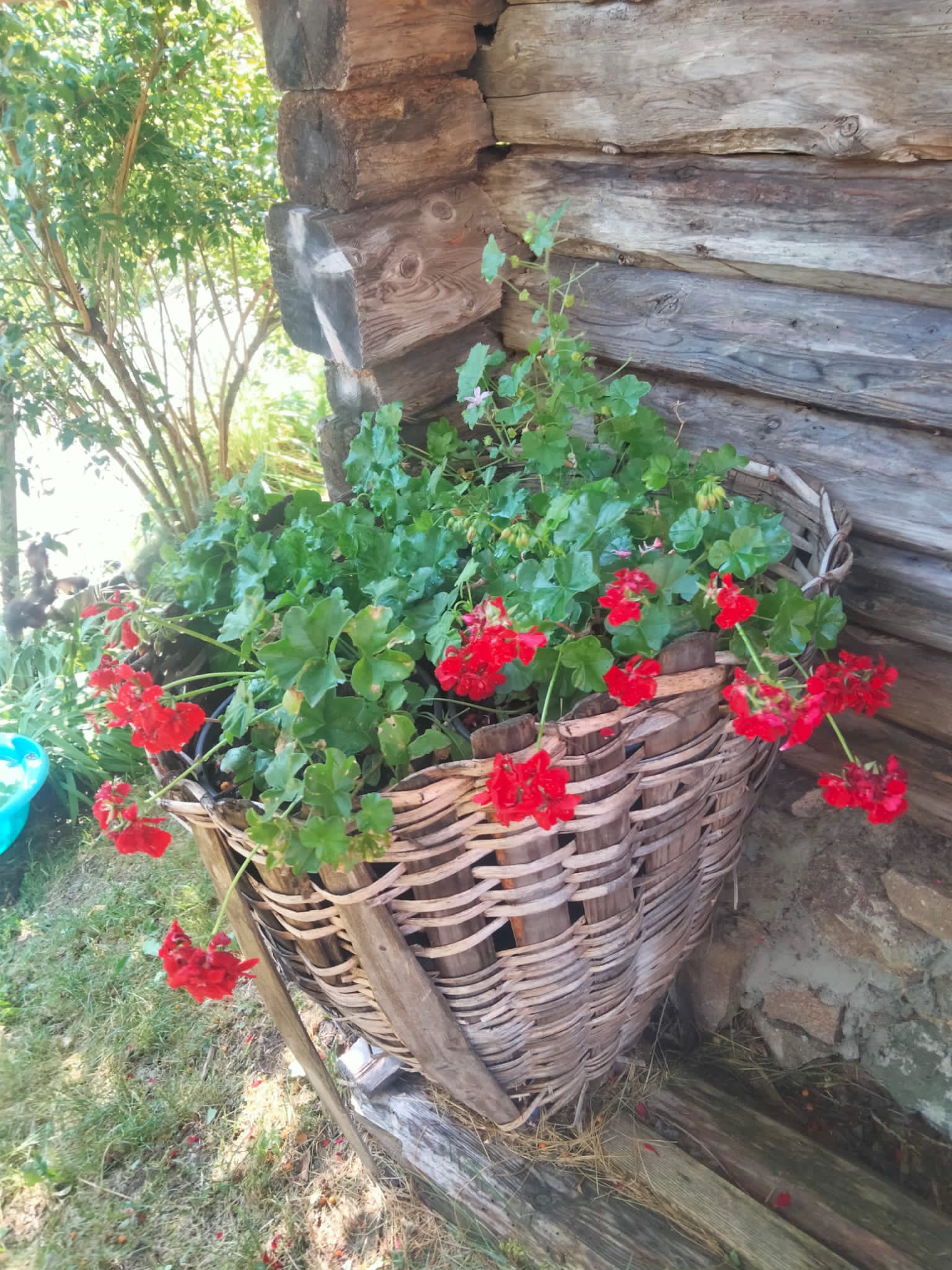 Agritur La Gemma foto 5