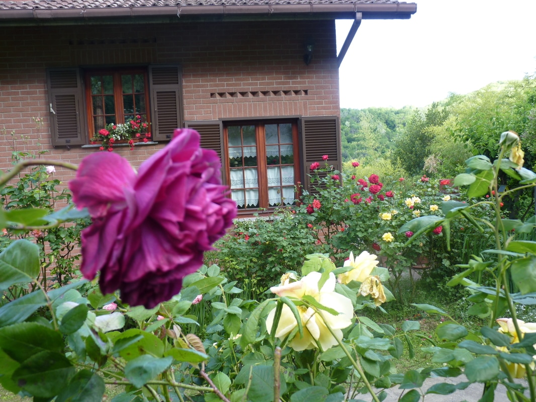 B&B The Roses Garden foto 1